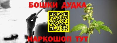 PSILOCYBIN Будённовск