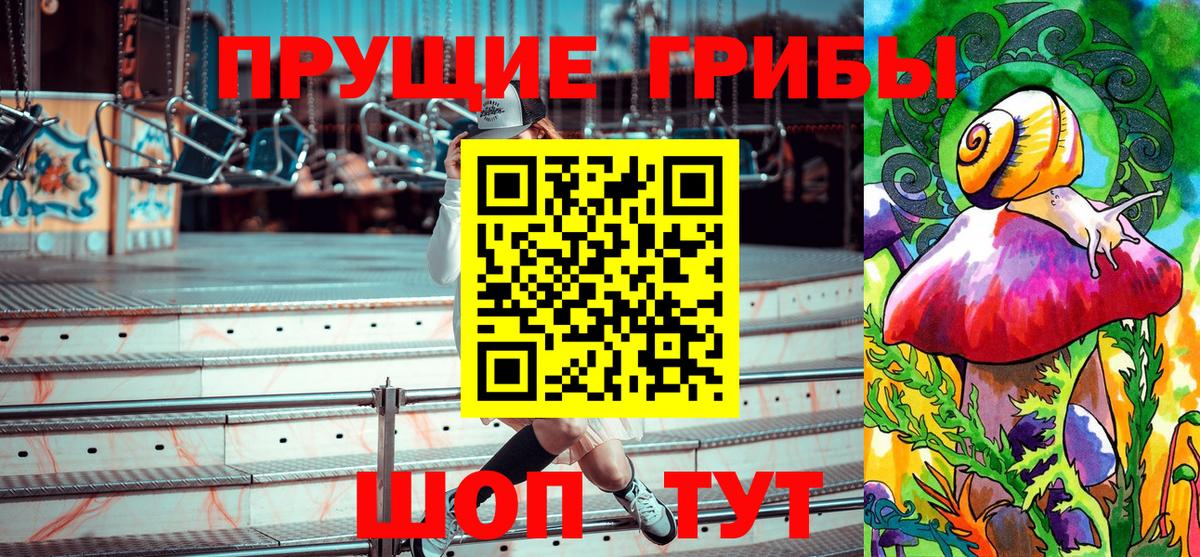 Галлюциногенные грибы GOLDEN TEACHER Сальск